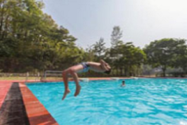 https://cache.careers360.mobi/media/colleges/social-media/media-gallery/19807/2020/6/29/Swimming Pool of Pestle Weed College of Information Technology Dehradun_Others.jpg